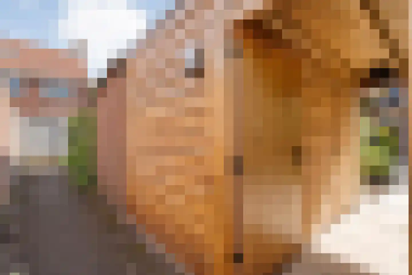 Johan de Wittstraat 8 Zwolle thumbnail 43