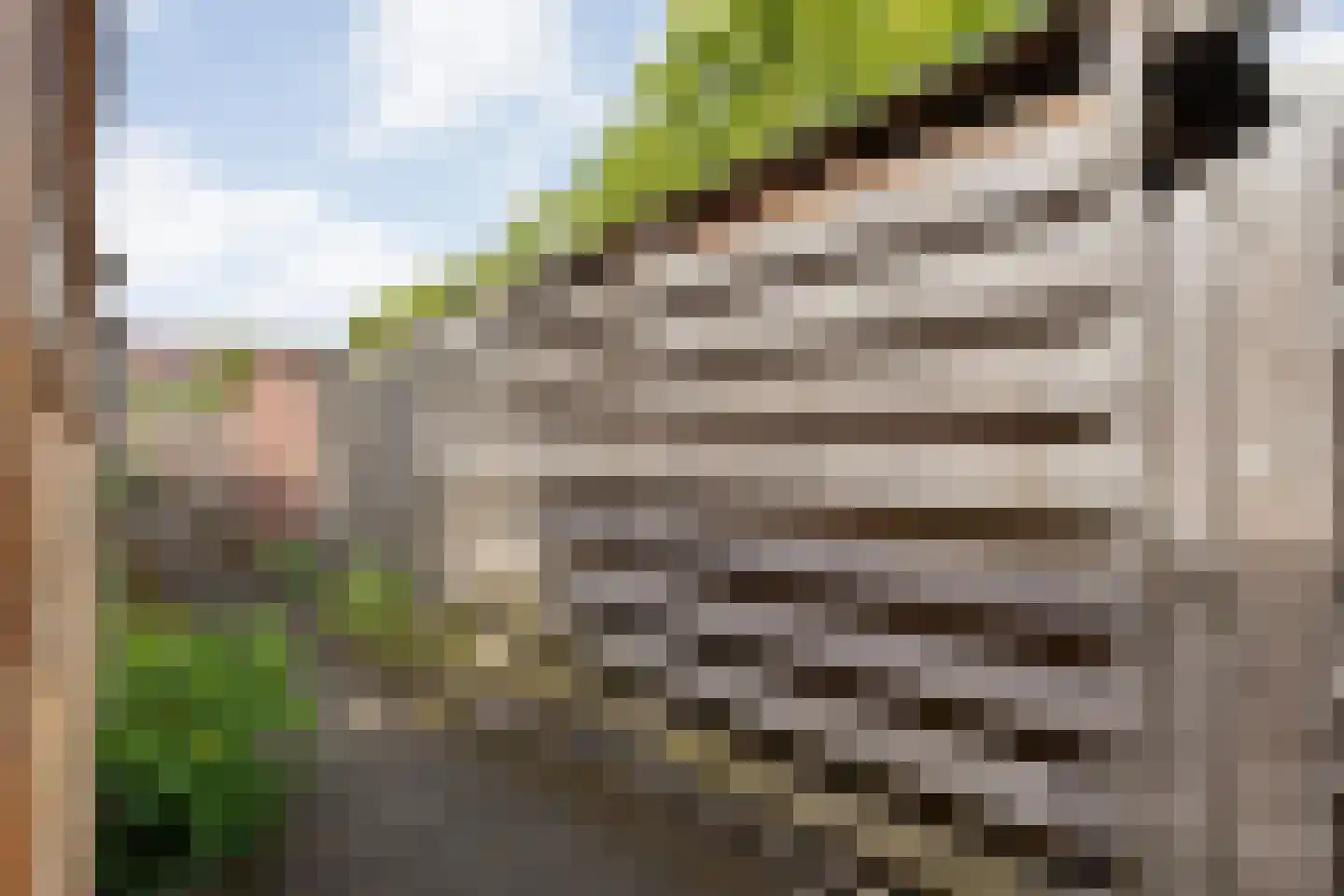 Johan de Wittstraat 8 Zwolle thumbnail 44