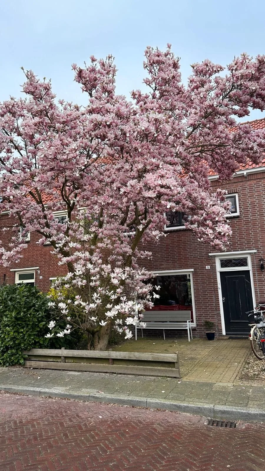Johan de Wittstraat 8 Zwolle thumbnail 45