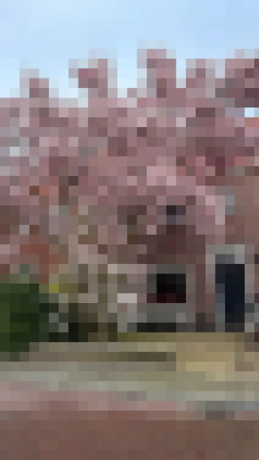 Johan de Wittstraat 8 Zwolle thumbnail 45