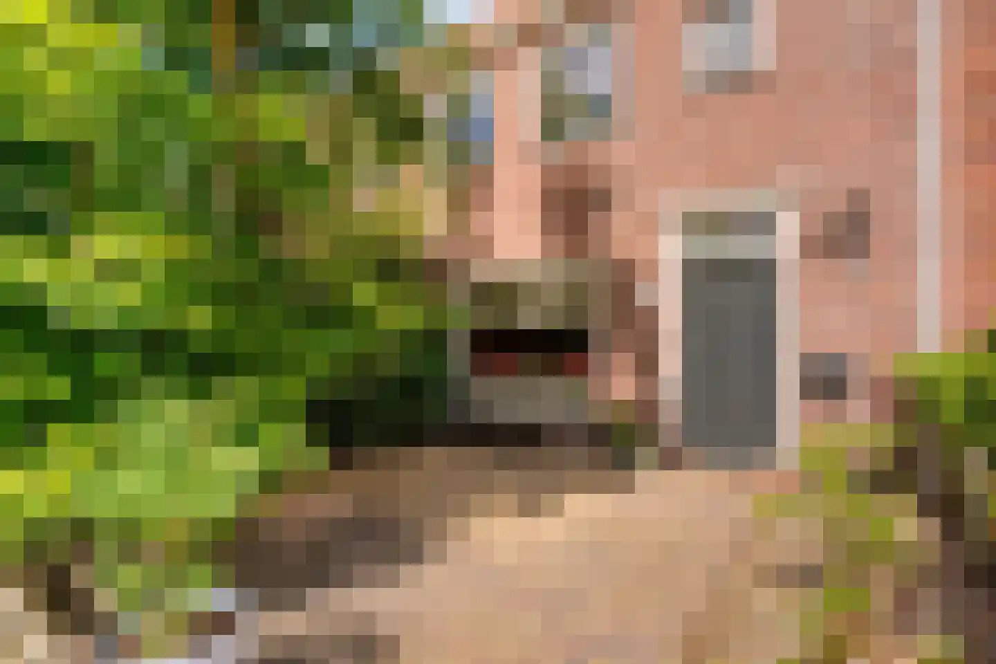 Johan de Wittstraat 8 Zwolle thumbnail 5