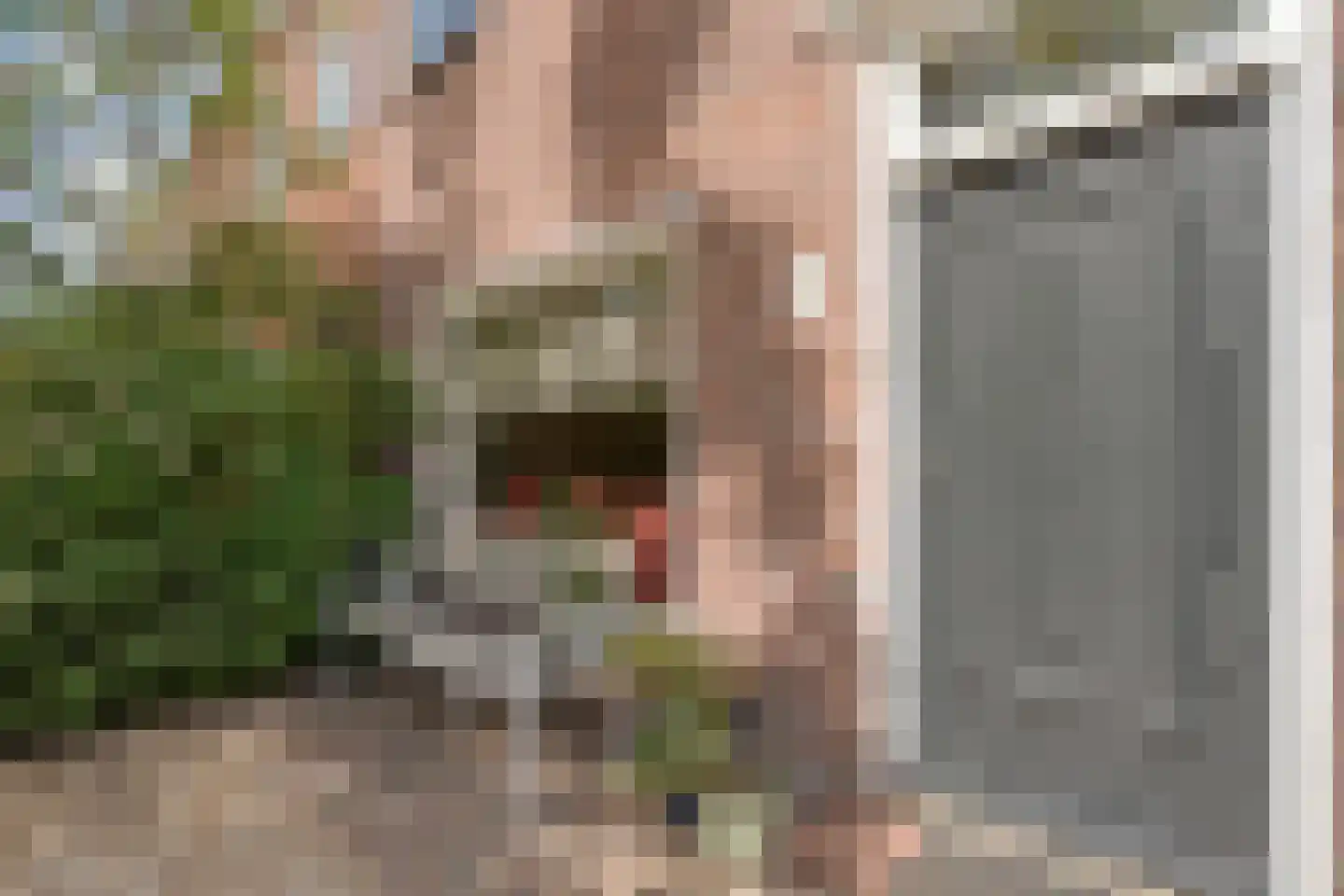 Johan de Wittstraat 8 Zwolle thumbnail 7