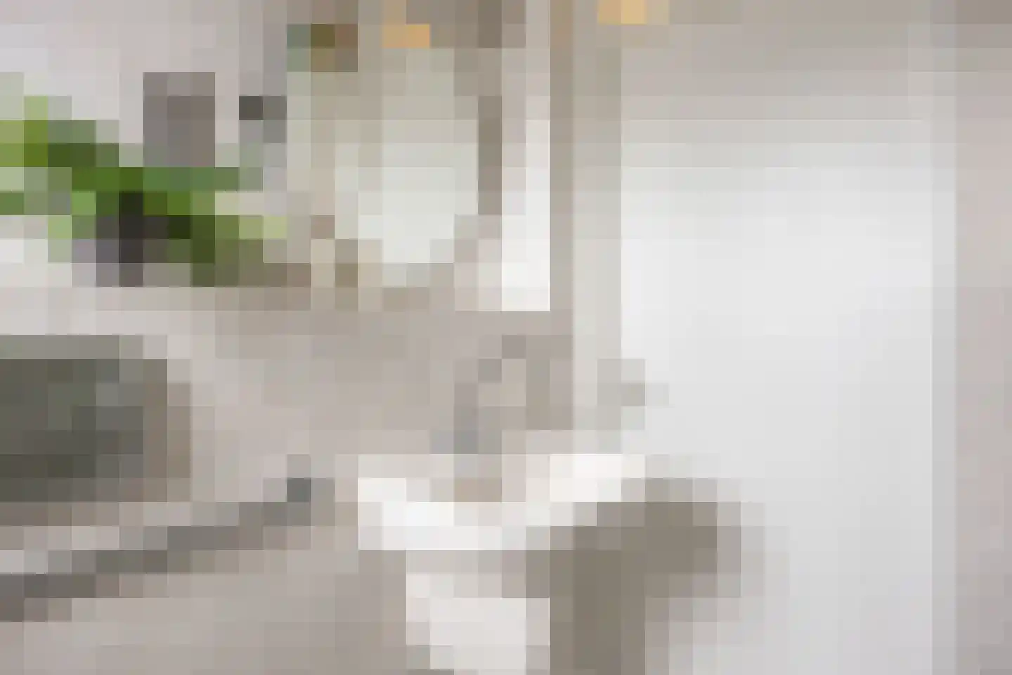 Johan Dijkstrasingel 46 Winsum thumbnail 31