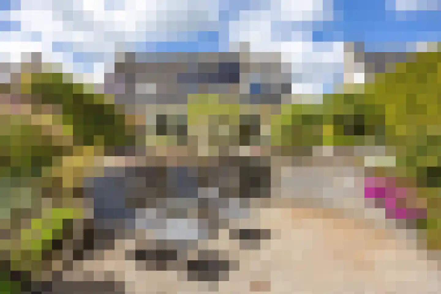 Johan Dijkstrasingel 46 Winsum thumbnail 37