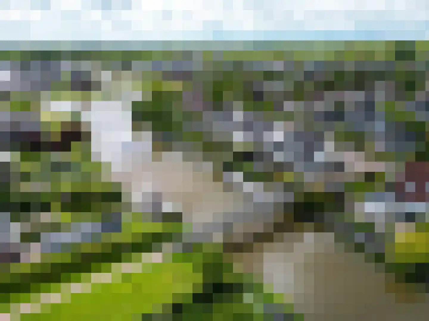 Johan Dijkstrasingel 46 Winsum thumbnail 5