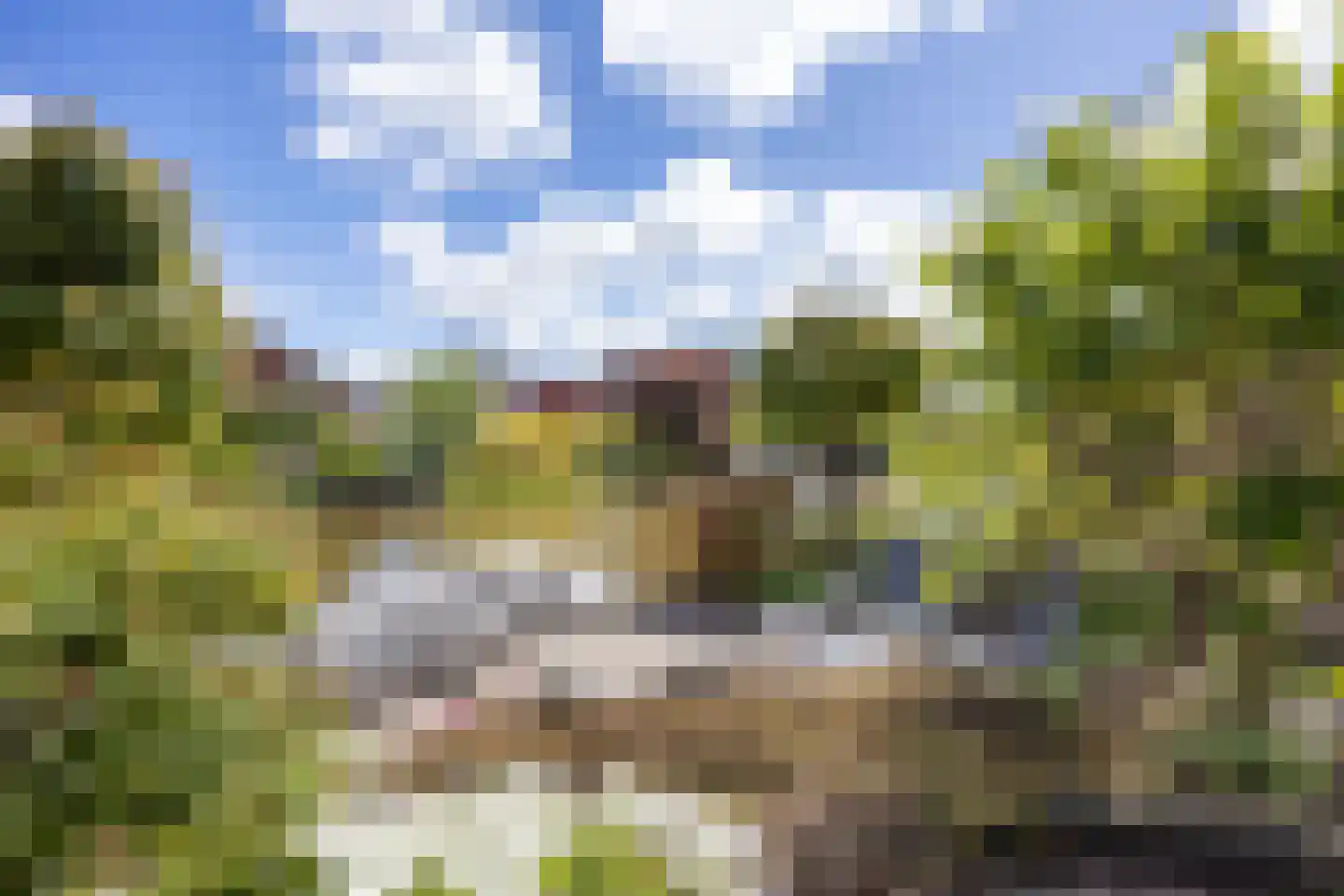 Johan Dijkstrasingel 46 Winsum thumbnail 6
