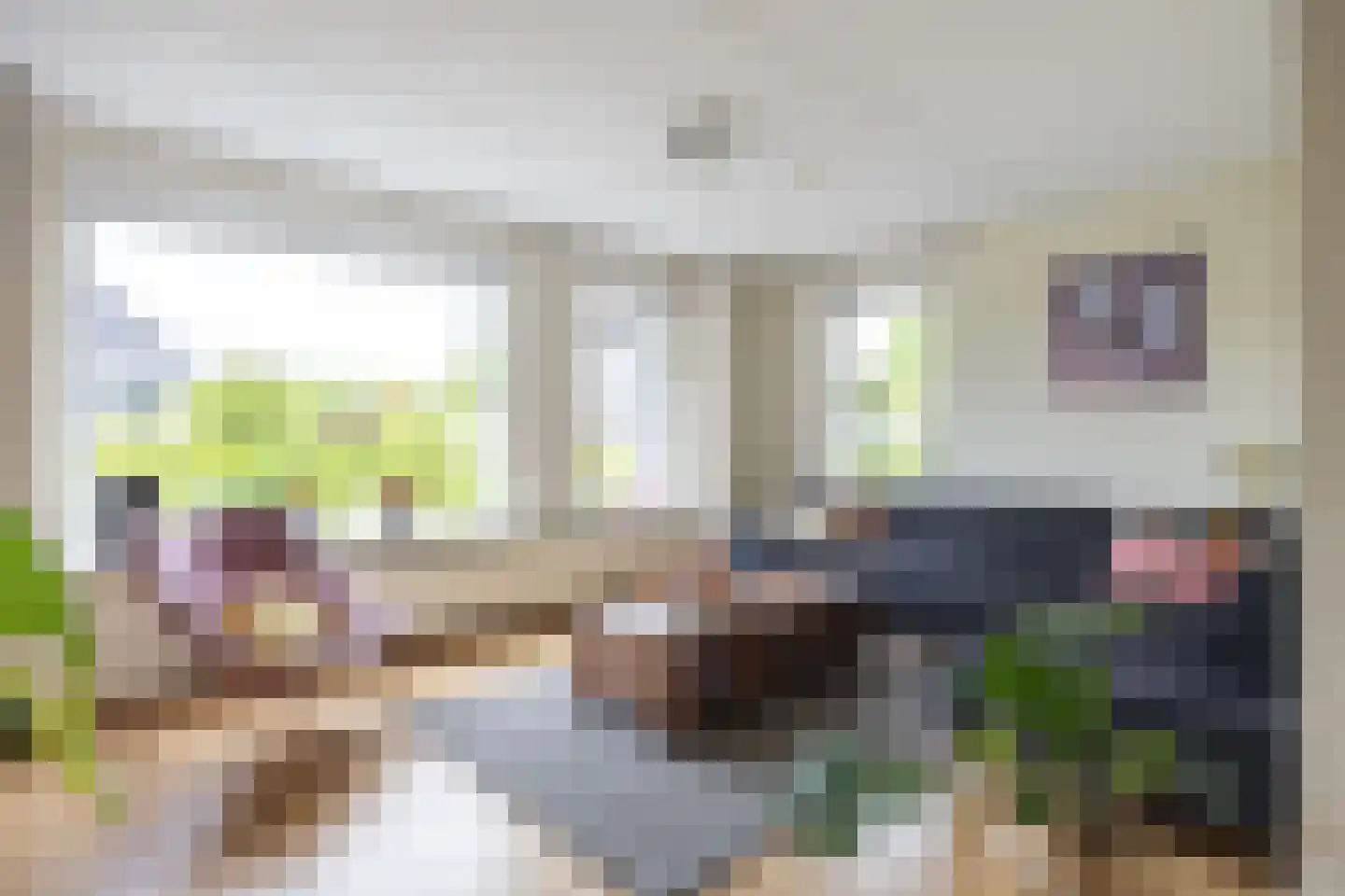 Johan Dijkstrasingel 46 Winsum thumbnail 8