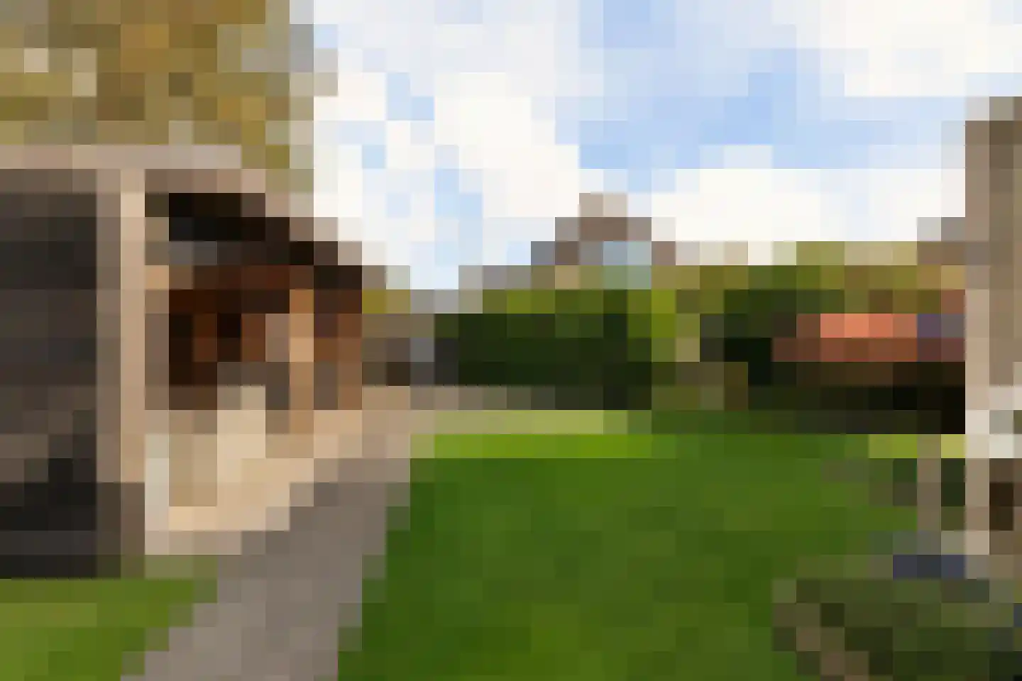 Johan Dijkstrasingel 59 Winsum thumbnail 37
