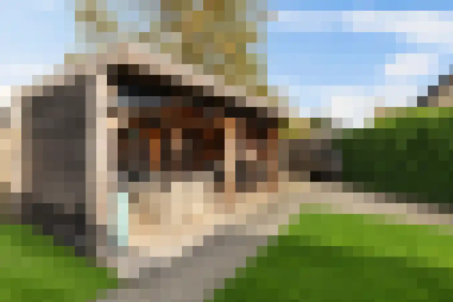 Johan Dijkstrasingel 59 Winsum thumbnail 39