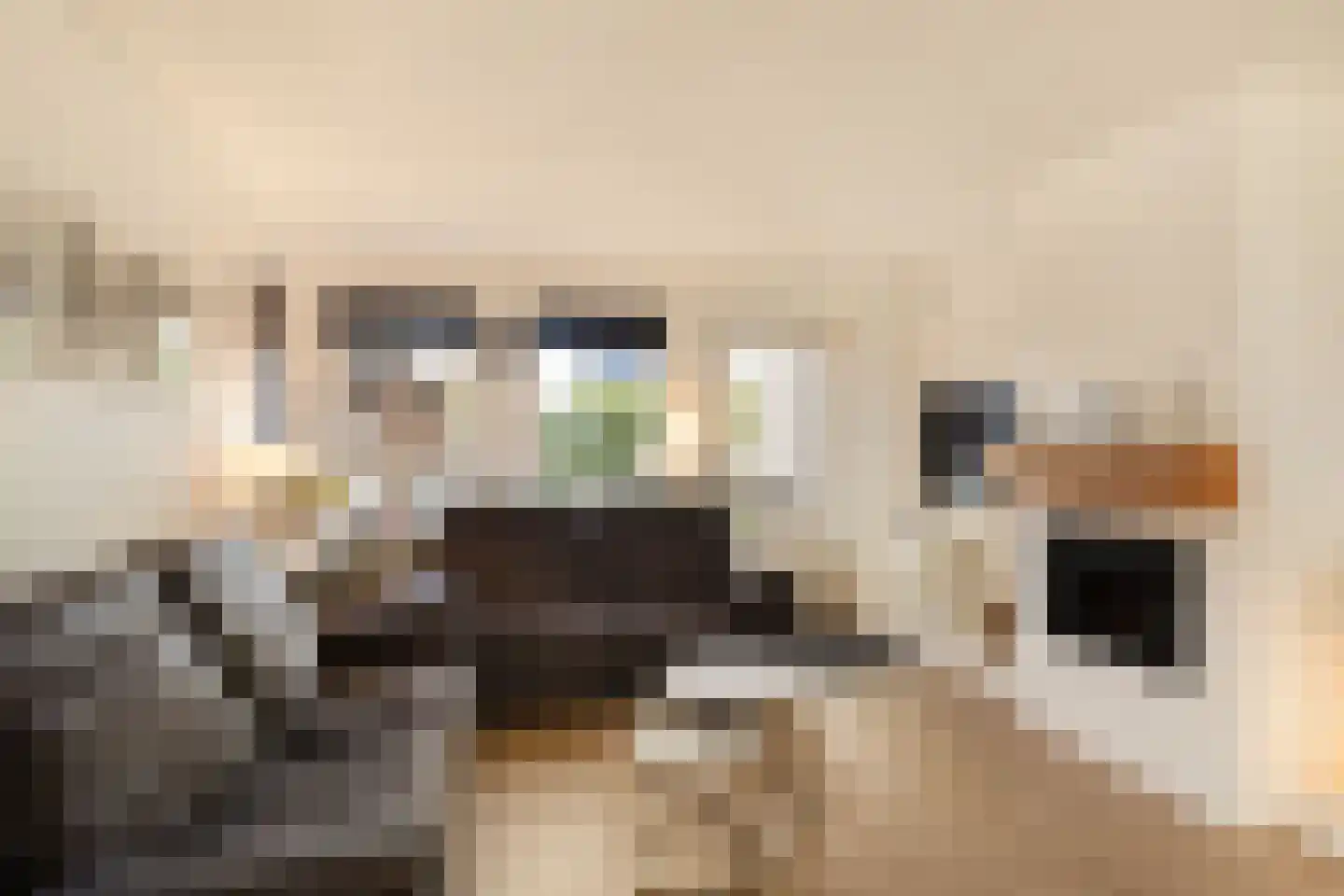 Johan Dijkstrasingel 59 Winsum thumbnail 6