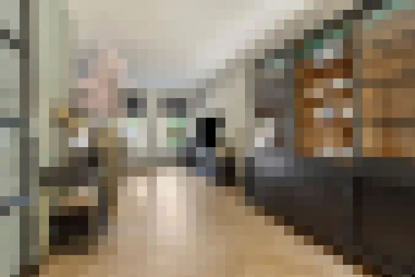 Johan Dijkstrastraat 14 Ten Boer thumbnail 11