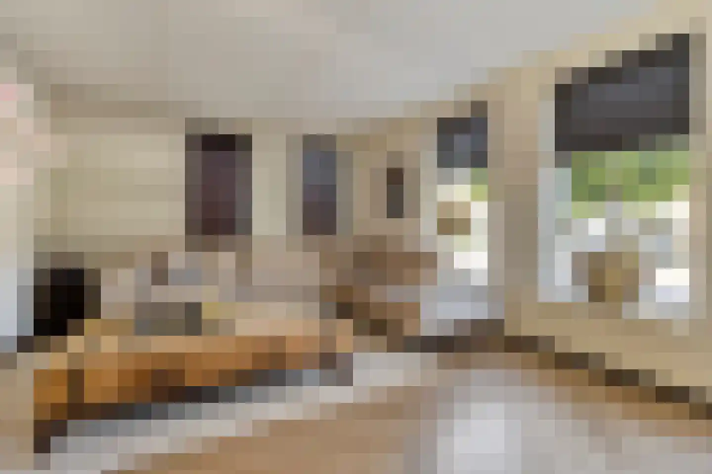 Johan Dijkstrastraat 14 Ten Boer thumbnail 12