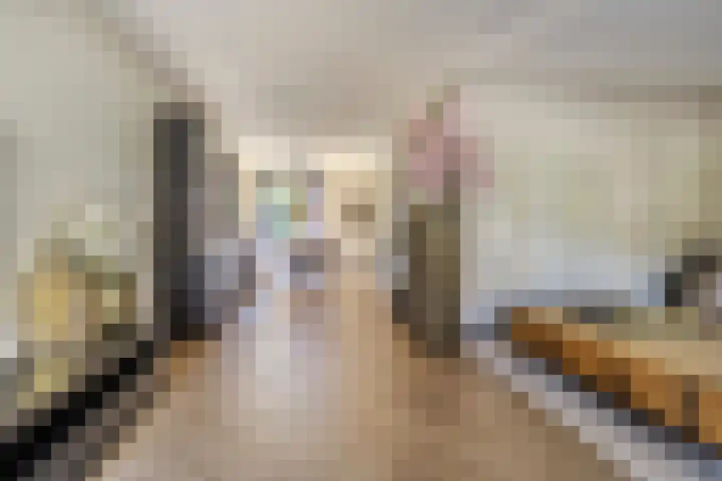 Johan Dijkstrastraat 14 Ten Boer thumbnail 15