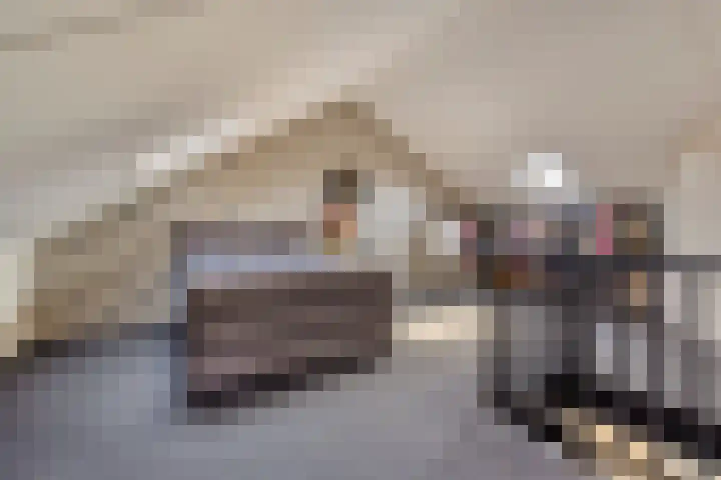 Johan Dijkstrastraat 14 Ten Boer thumbnail 32