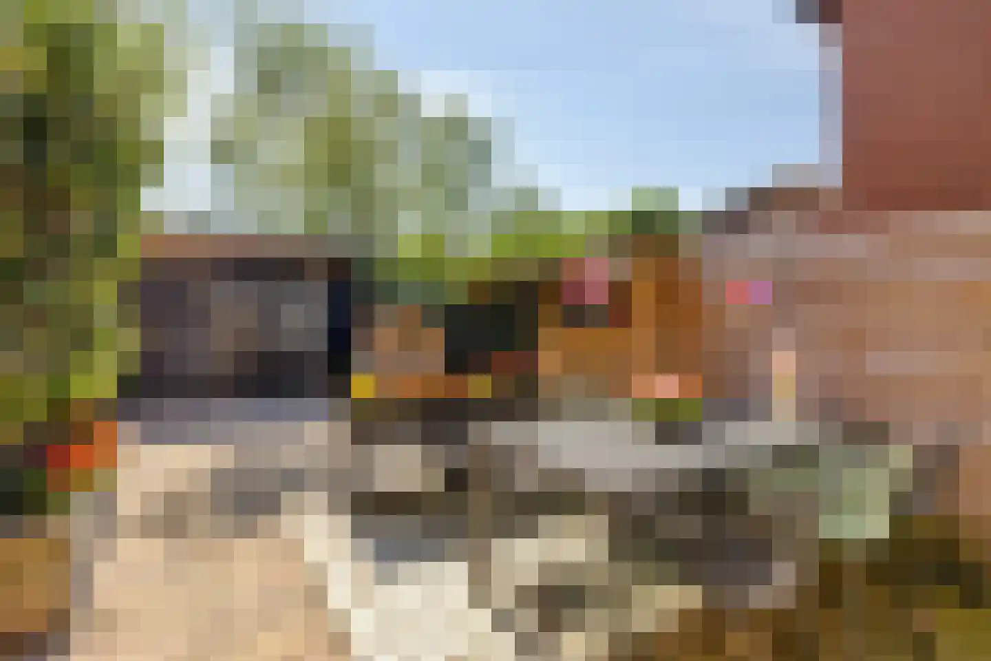Johan Dijkstrastraat 14 Ten Boer thumbnail 34