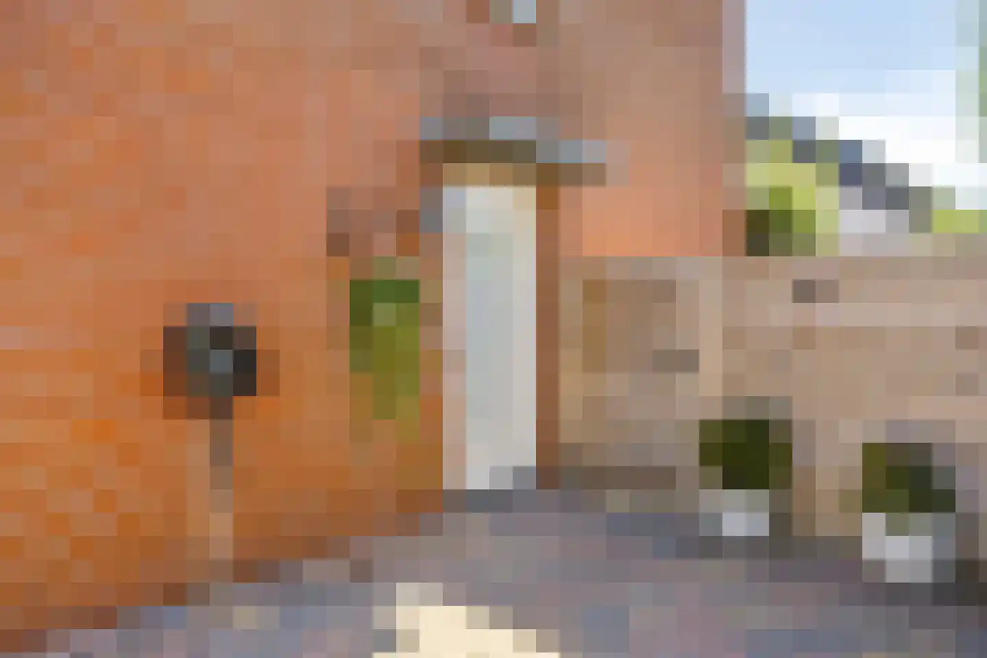 Johan Dijkstrastraat 14 Ten Boer thumbnail 8