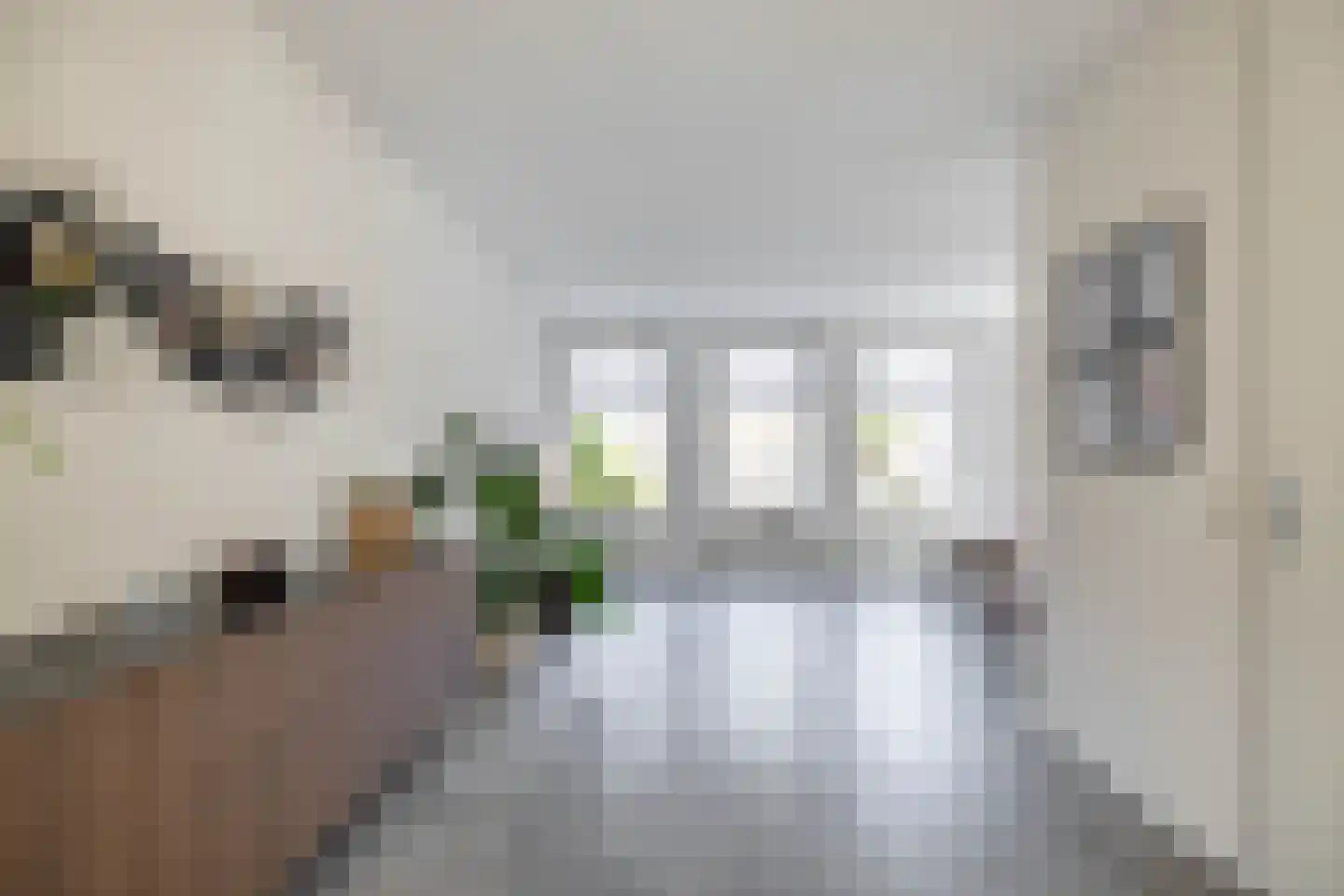 Johan Dijkstrastraat 20 Ten Boer thumbnail 12