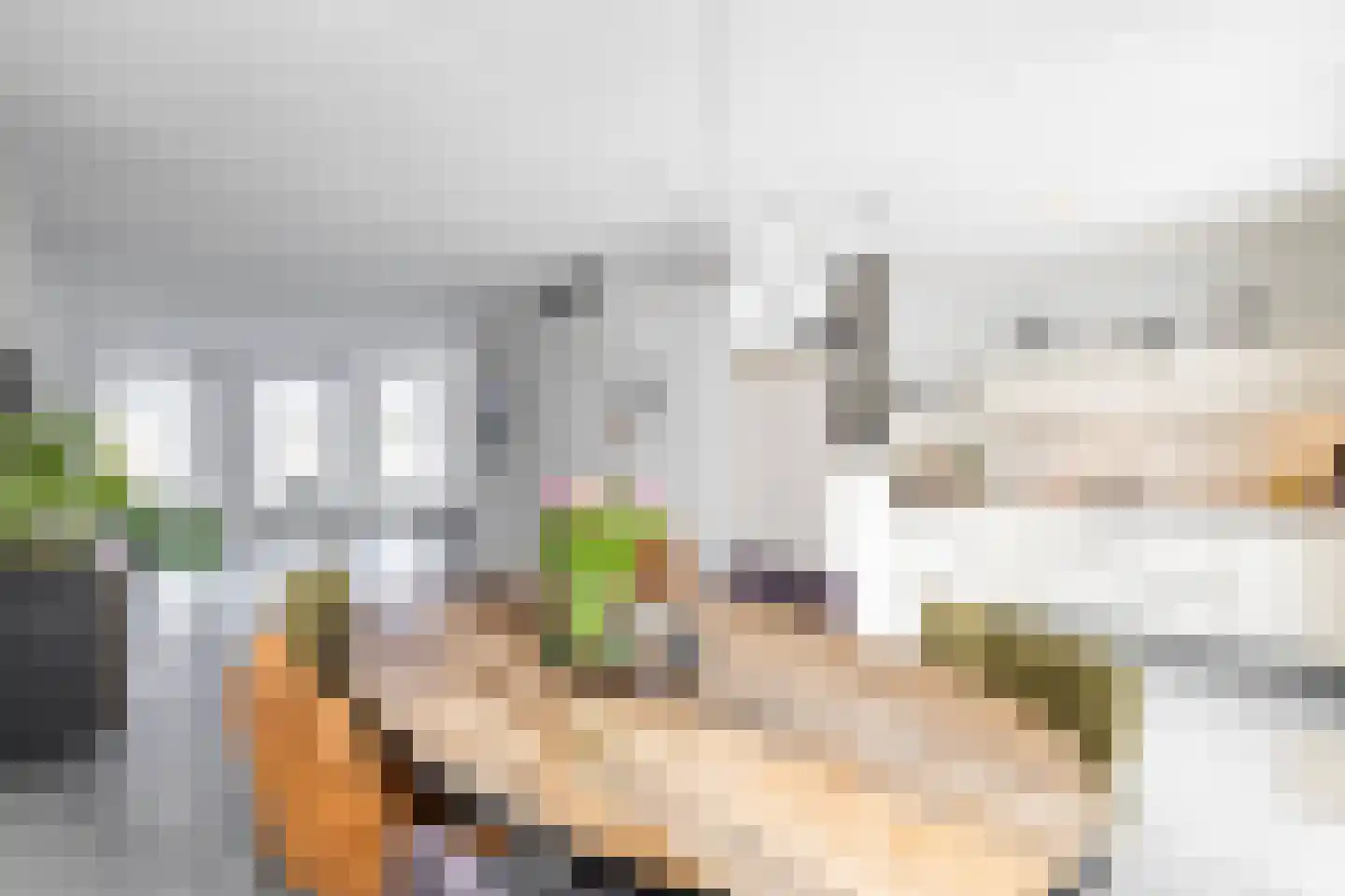 Johan Dijkstrastraat 20 Ten Boer thumbnail 18