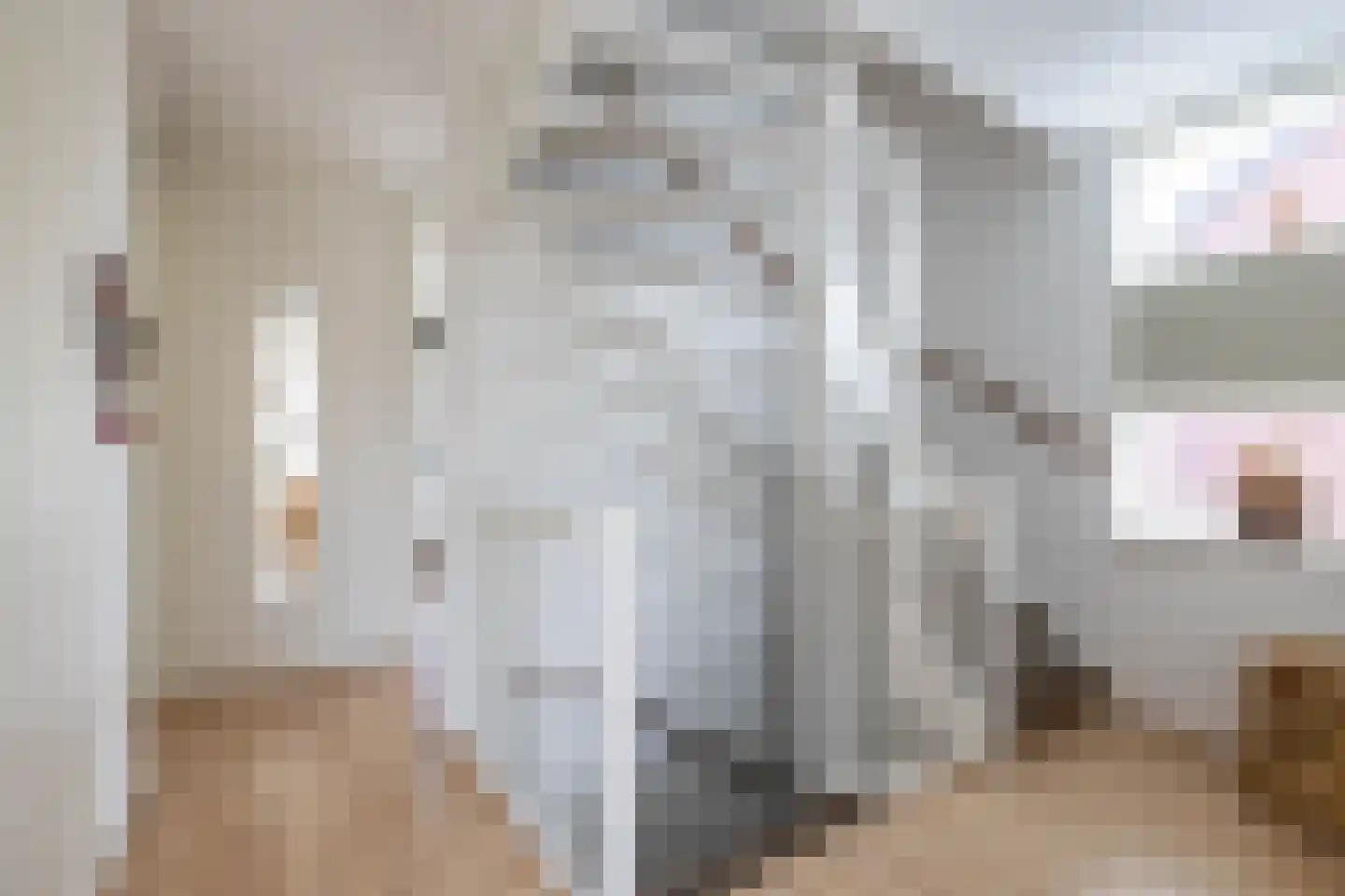 Johan Dijkstrastraat 20 Ten Boer thumbnail 31