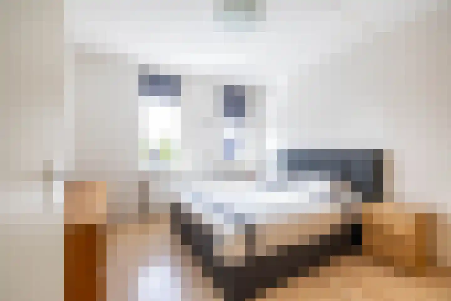 Johan Dijkstrastraat 20 Ten Boer thumbnail 33