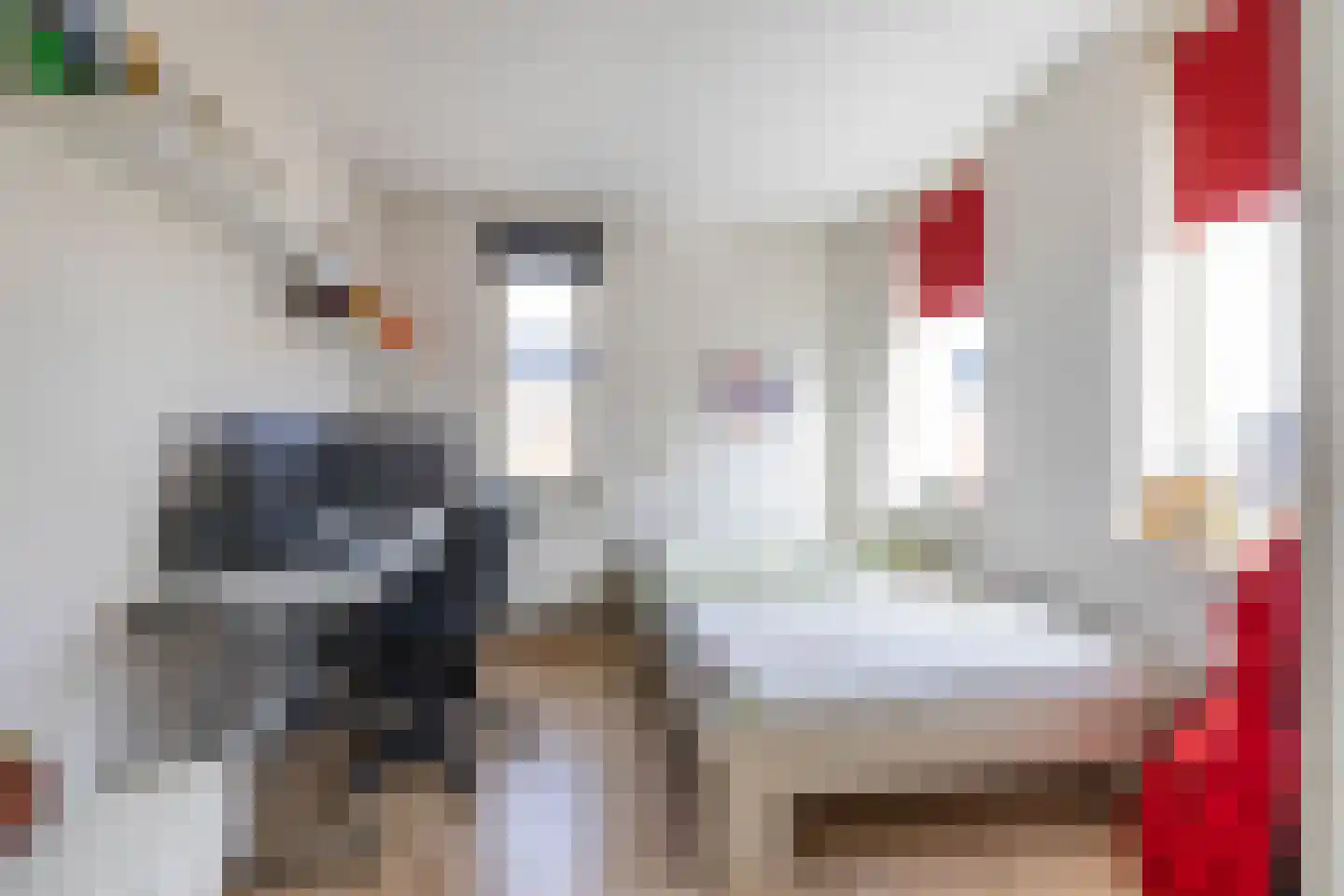 Johan Dijkstrastraat 20 Ten Boer thumbnail 36