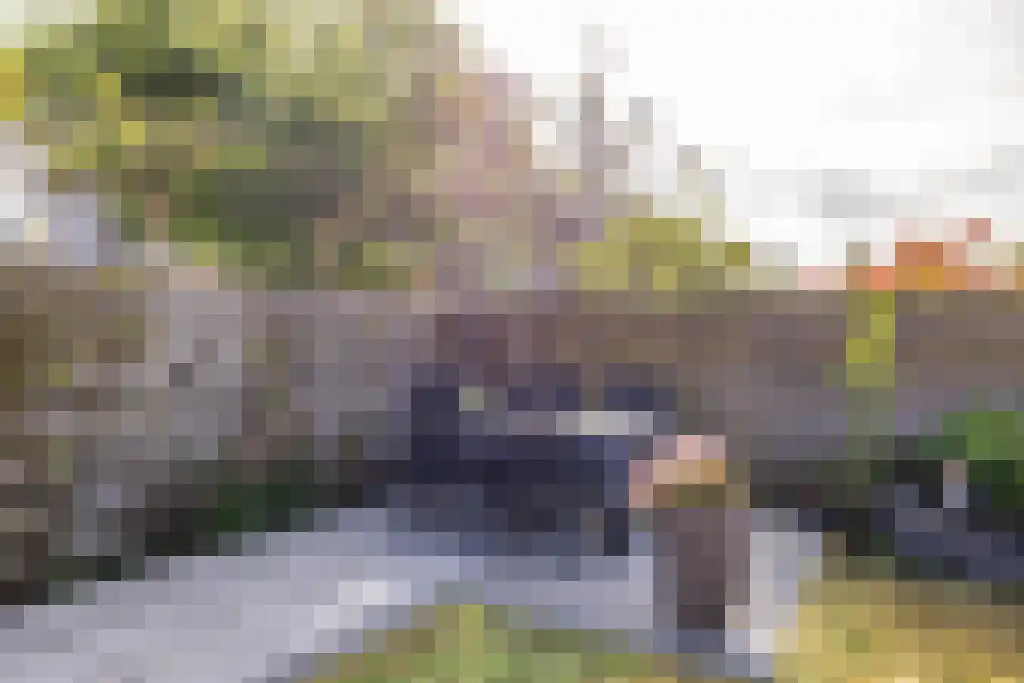 Johan Dijkstrastraat 20 Ten Boer thumbnail 56