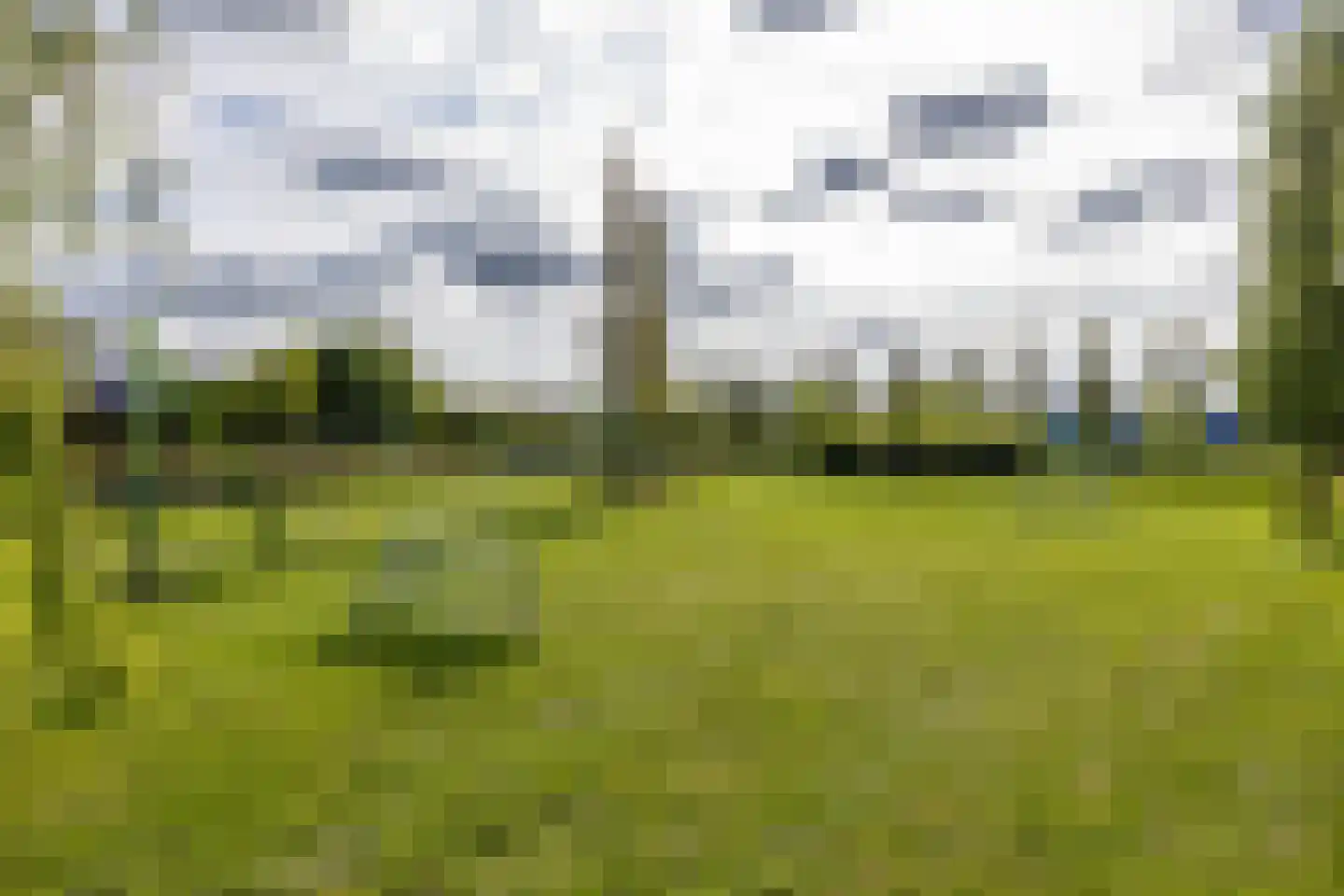 Johan Dijkstrastraat 20 Ten Boer thumbnail 58