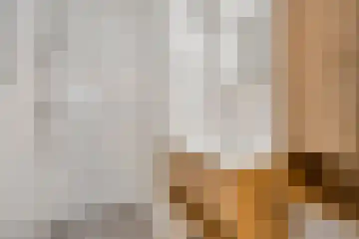 Johan Doornstraat 14 Oss thumbnail 20