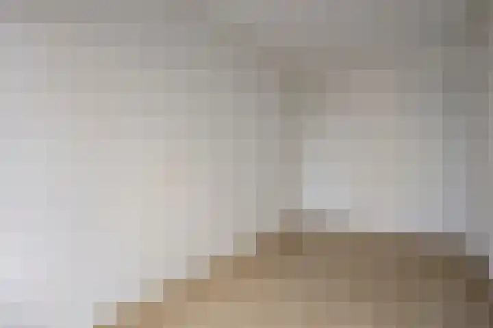 Johan Doornstraat 14 Oss thumbnail 22