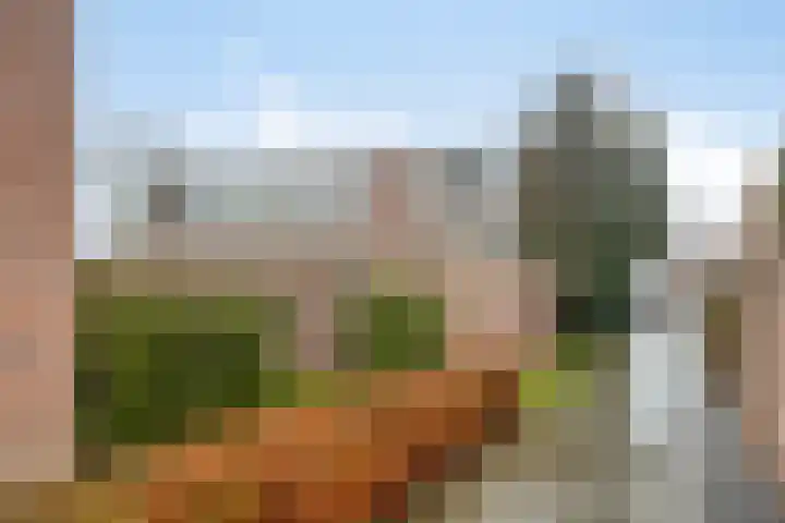 Johan Doornstraat 14 Oss thumbnail 27