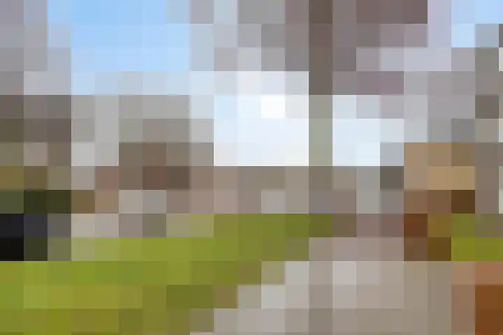 Johan Doornstraat 14 Oss thumbnail 28