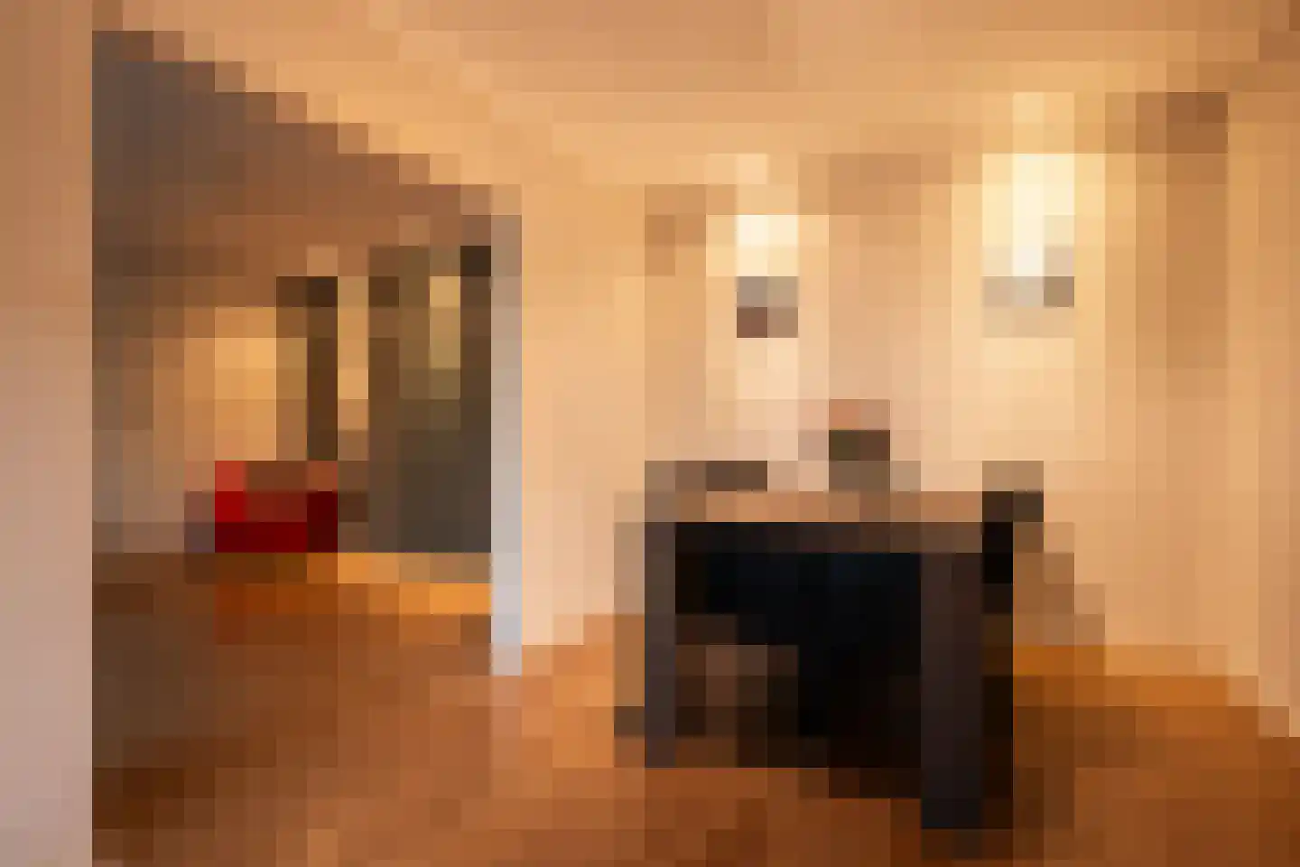 Johan Doornstraat 18 Oss thumbnail 13