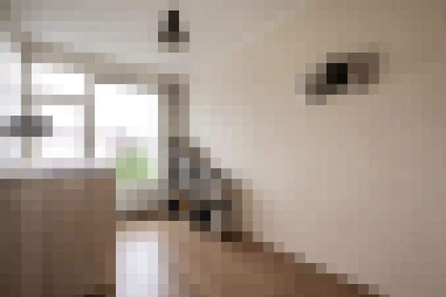 Johan Doornstraat 18 Oss thumbnail 17