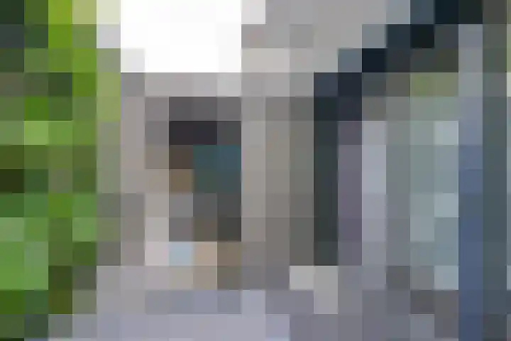 Johan Doornstraat 32 Oss thumbnail 13