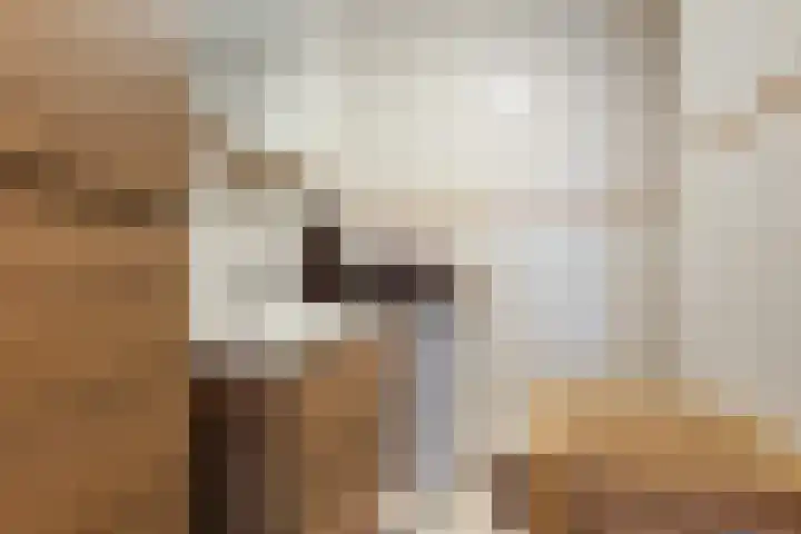 Johan Doornstraat 32 Oss thumbnail 22