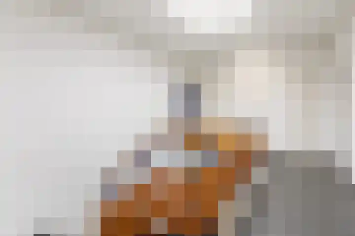 Johan Doornstraat 32 Oss thumbnail 4