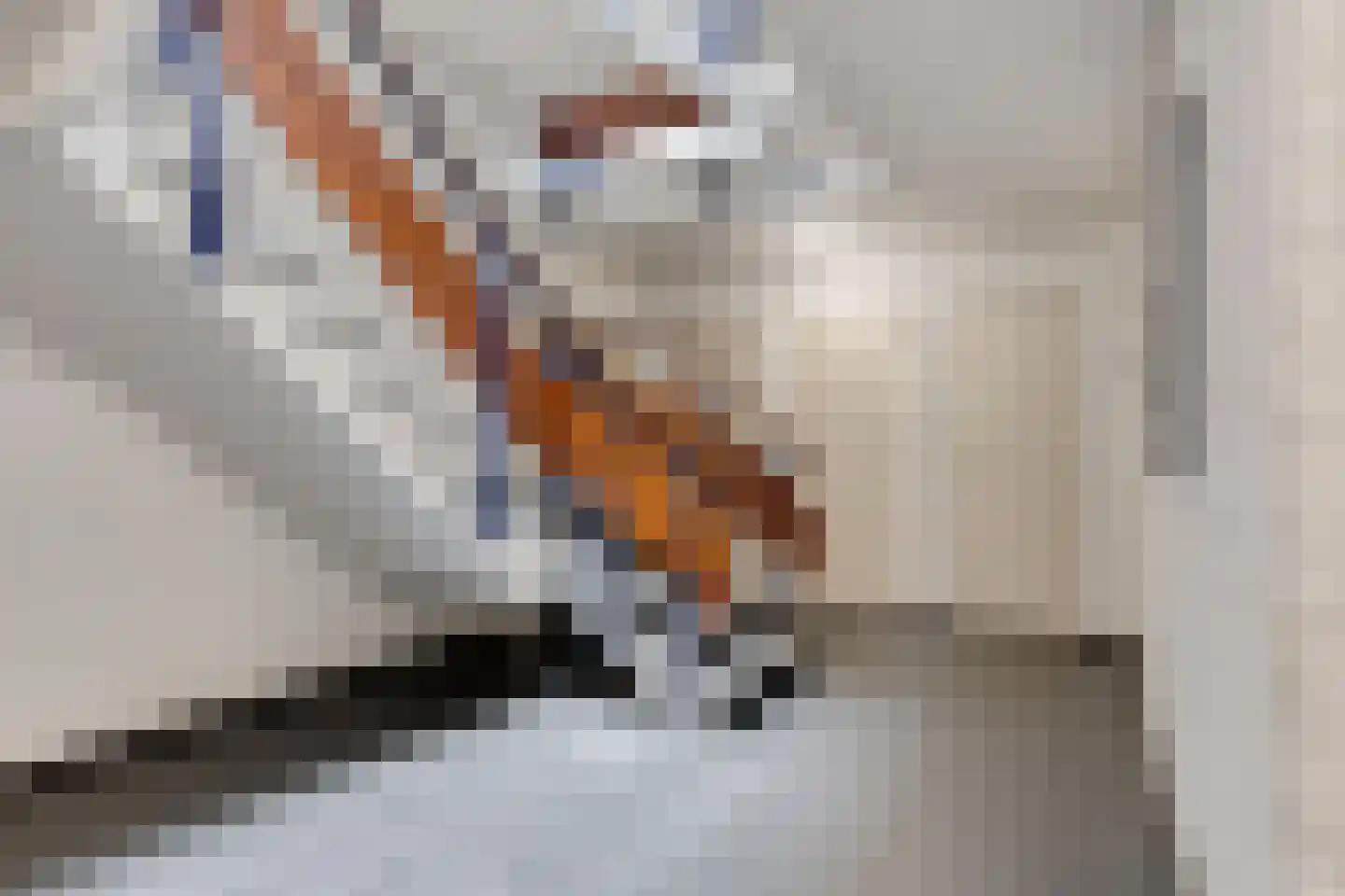 Johan Doornstraat 34 Oss thumbnail 26