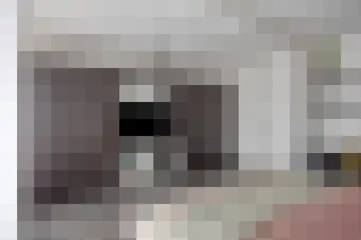 Johan Doornstraat 74 Oss thumbnail 23