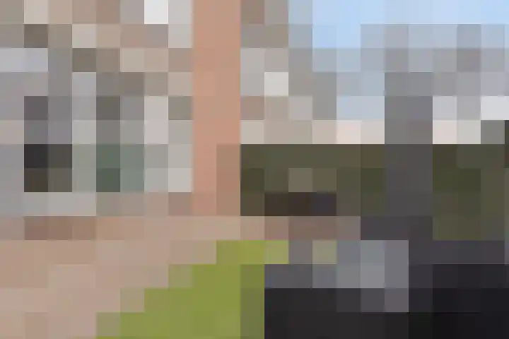 Johan Doornstraat 74 Oss thumbnail 29