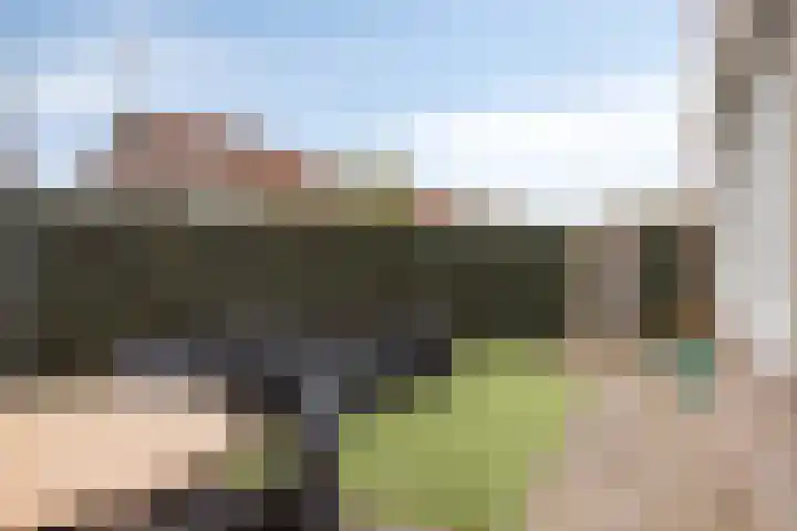 Johan Doornstraat 74 Oss thumbnail 30