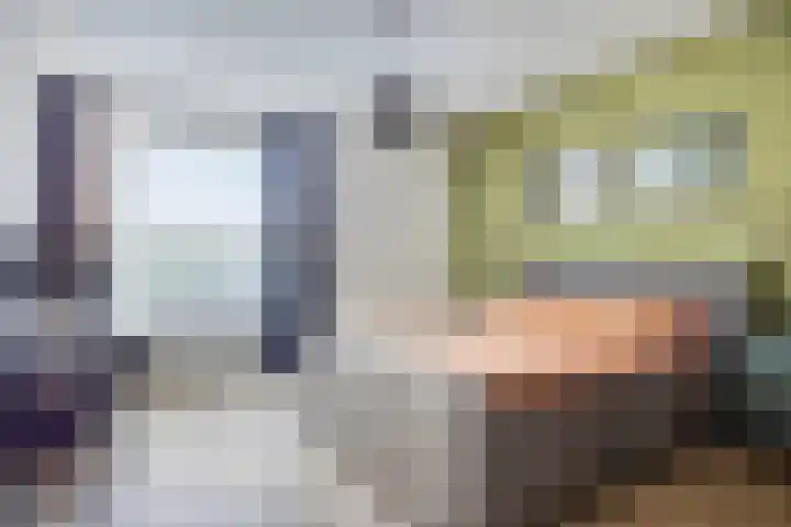 Johan Doornstraat 78 Oss thumbnail 22