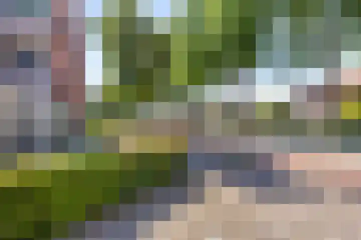 Johan Doornstraat 78 Oss thumbnail 35