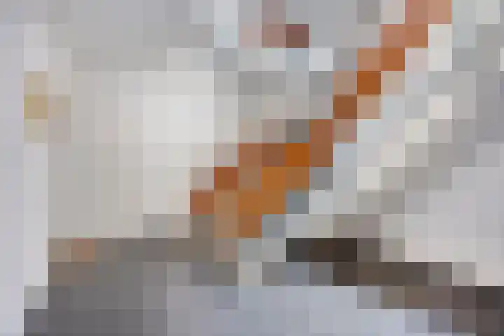Johan Doornstraat 78 Oss thumbnail 7