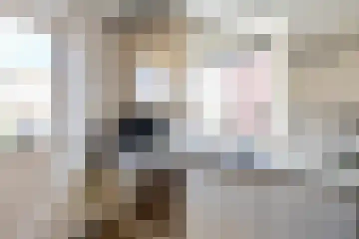 Johan Ellenbergerstraat 18 Groningen thumbnail 10