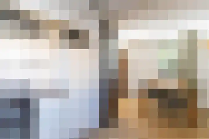 Johan Ellenbergerstraat 18 Groningen thumbnail 11