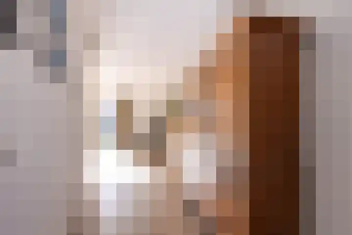 Johan Ellenbergerstraat 18 Groningen thumbnail 12