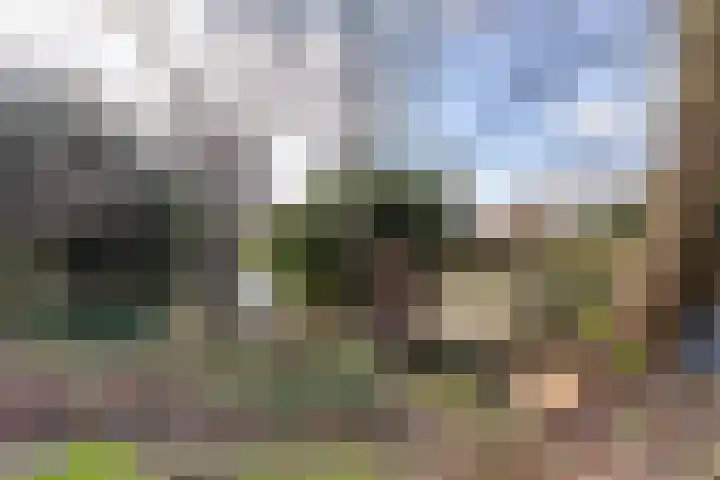 Johan Ellenbergerstraat 18 Groningen thumbnail 16