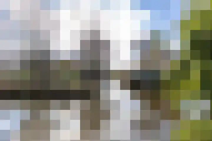 Johan Ellenbergerstraat 18 Groningen thumbnail 17