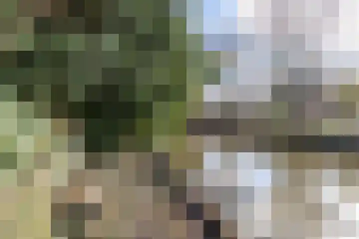 Johan Ellenbergerstraat 18 Groningen thumbnail 18