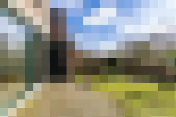 Johan Ellenbergerstraat 18 Groningen thumbnail 19